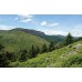Wicklow Way | Cicerone Guide