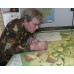 Donegal | Fir Tree Maps